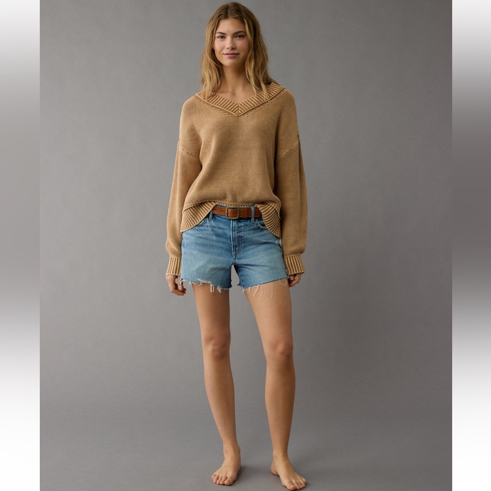 American Eagle Outfitters Long Weekend V-Neck Sweater, size Medium